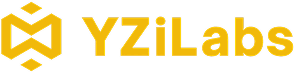 yzi labs